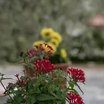 Villa Sea View Traditional Vourvourou