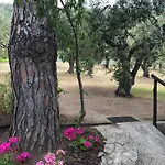 Villa Sea View Traditional