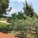 Sea View Traditional