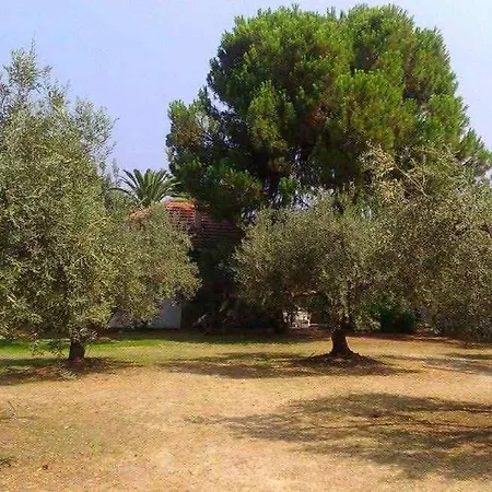 Villa Sea View Traditional