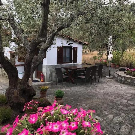 Villa Sea View Traditional