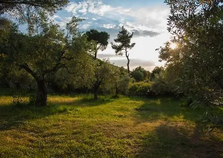 Sea View Traditional