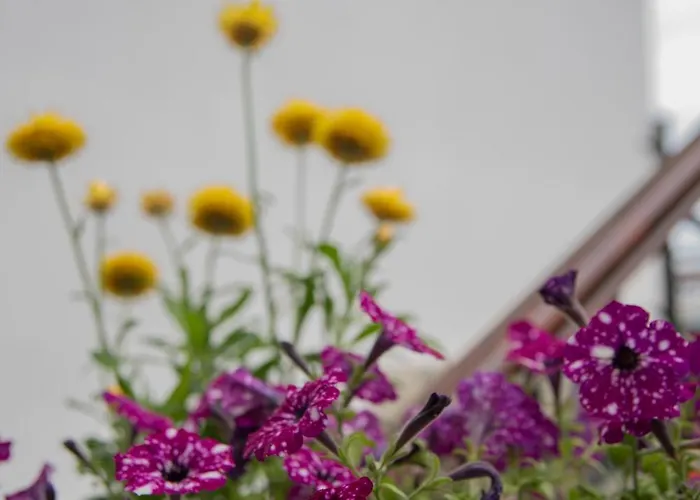 Sea View Traditional