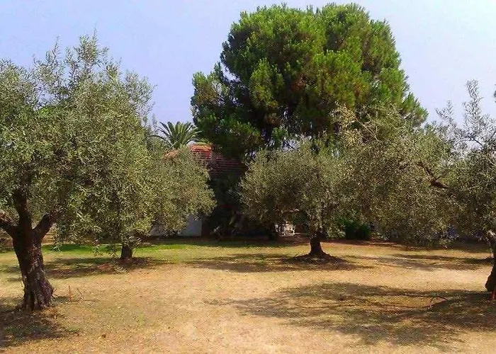 Villa Sea View Traditional
