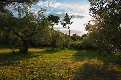 Sea View Traditional