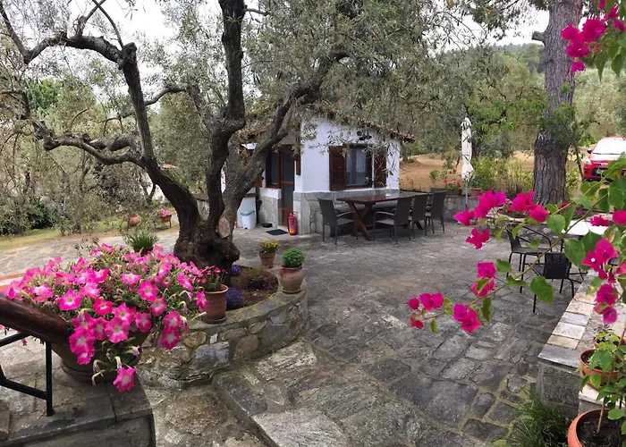 Sea View Traditional